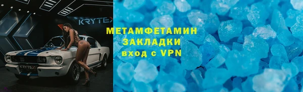 индика Новодвинск
