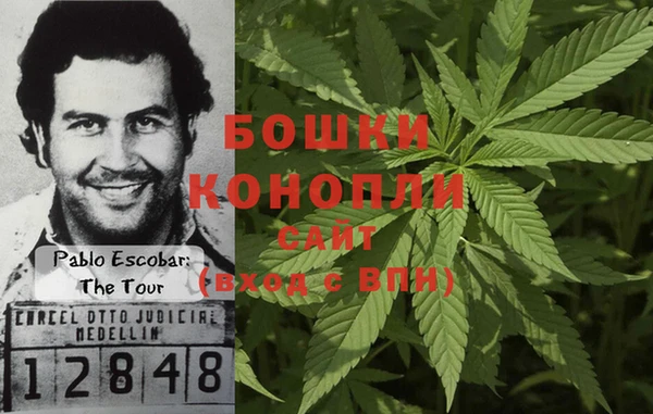 гашик Нягань