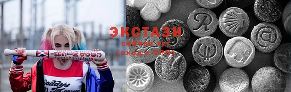 индика Новодвинск