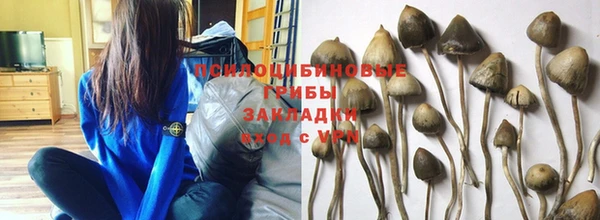 гашик Нягань
